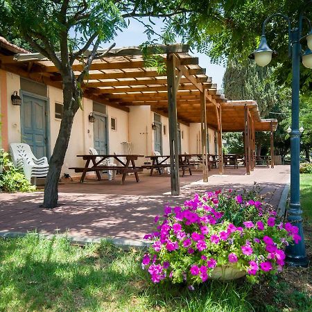 Kibbutz Moran Digital Nomads Village-Adults Only Exteriér fotografie